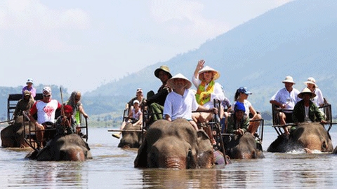 Balade à dos d’éléphant au Vietnam sera interdite.