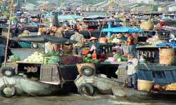 Travel in Vietnam – Cai rang floating market in Mekong delta Travel in Vietnam