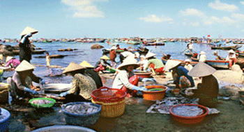 Île de Phu Quoc au Vietnam 
