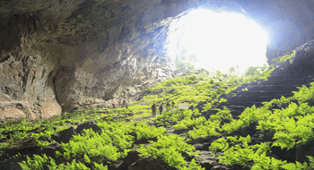 grottes à Quang Binh 