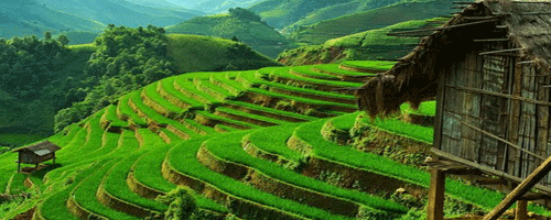 Sapa au Vietnam