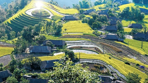 Hoang Su Phi Vietnam - Terre des rizières en terrasse