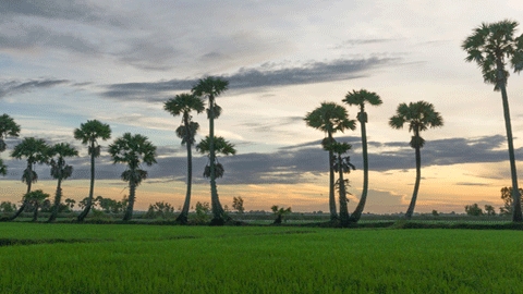 Chau Doc