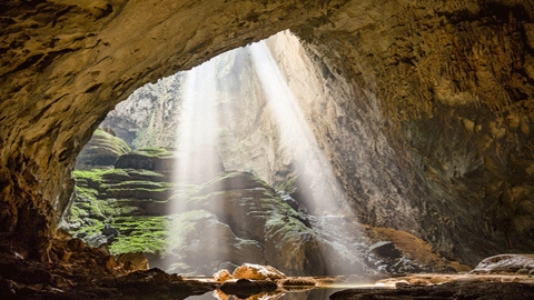 Grotte Son Doong au Vietnam – la plus grande du monde - apparait dans la page d’accueil de Google. 