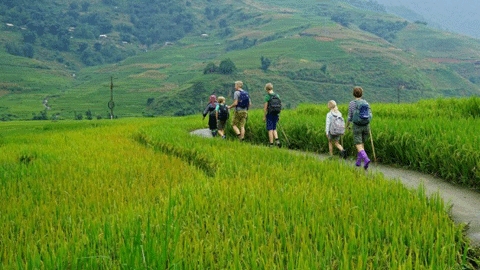Randonnée Vietnam: 8 meilleures destinations selon Lonely Planet