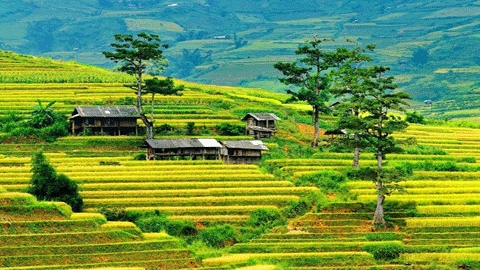 Tourisme Vietnam 2023: Objectif et défit