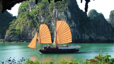 Jonques à voile à la baie d'Halong: Une tradition perdue