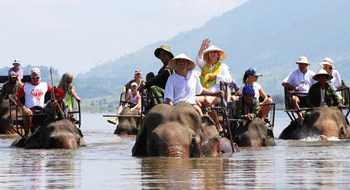Balade à dos d’éléphant Vietnam 