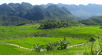 Tourisme Vietnam 
