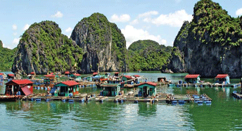 Village flottant à la baie d’Halong 