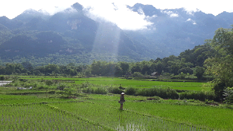 Voyage au nord Vietnam