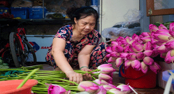 Thé au lotus vietnamien