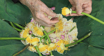Thé au lotus vietnamien 