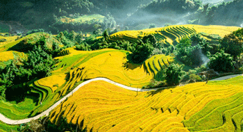 Circuit nord Vietnam